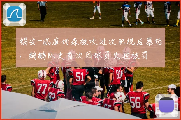 锡安-威廉姆森被吹进攻犯规后暴怒,鹈鹕队史首次因球员失控被罚